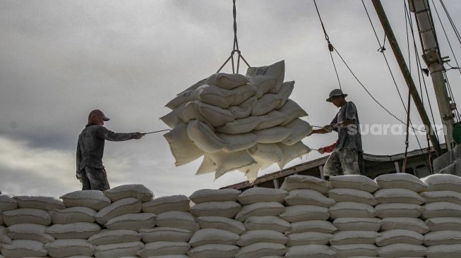 Buruh melakukan bongkar muat barang di Pelabuhan Sunda Kelapa, Jakarta Utara, Jumat (18/2/2022). [Suara.com/Alfian Winanto]