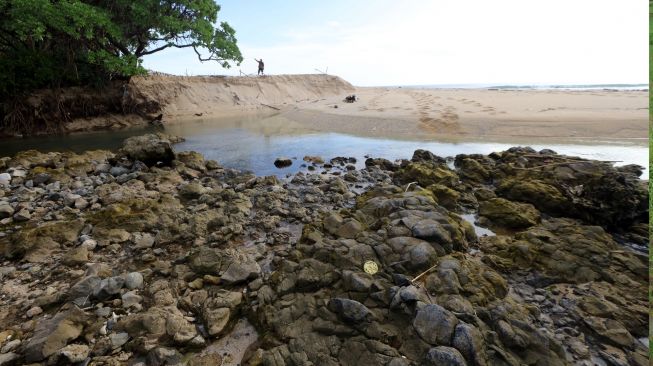 Panorama batuan di pantai Parang Ireng Taman Nasional Alas Purwo, Banyuwangi, Jawa Timur, Sabtu (19/2/2022). [ANTARA FOTO/Budi Candra Setya/aww]