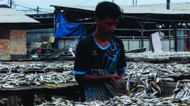 Pekerja saat mengeringkan ikan asin di Kampung Nelayan, Muara Angke, Jakarta Utara, Minggu (20/2/2022). [Suara.com/Septian]