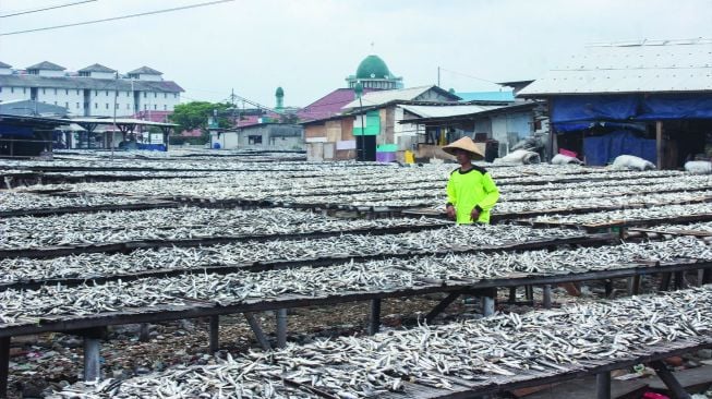 Pekerja saat mengeringkan ikan asin di Kampung Nelayan, Muara Angke, Jakarta Utara, Minggu (20/2/2022). [Suara.com/Septian]