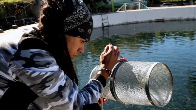 Ahli biologi melakukan penelitian di daerah tempat ikan Tequila (zoogoneticus tequila) saat survei spesies ikan dari sungai Teuchitlan di Teuchitlan, negara bagian Jalisco, Meksiko, Selasa (15/2/2022). [ULISES RUIZ / AFP]