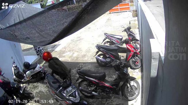 Maling Motor Pasuruan yang Sempat Viral Akhirnya Dibekuk, Pelaku 5 Kali Beraksi Demi Chip Domino