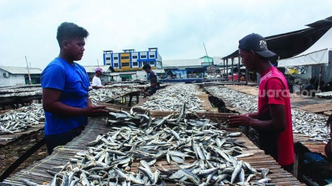 Pekerja saat mengeringkan ikan asin di Kampung Nelayan, Muara Angke, Jakarta Utara, Minggu (20/2/2022). [Suara.com/Septian]