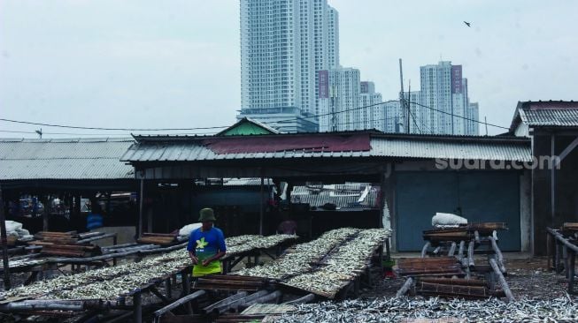 Pekerja saat mengeringkan ikan asin di Kampung Nelayan, Muara Angke, Jakarta Utara, Minggu (20/2/2022). [Suara.com/Septian]