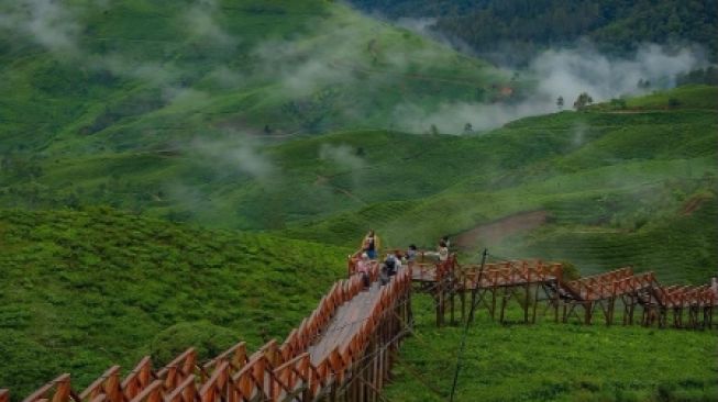 Taman Langit Pangalengan, Tawarkan Indahnya Pemandangan Samudera Awan