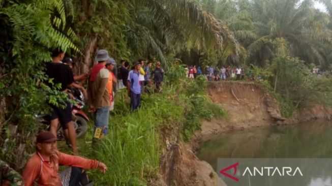 Ngeri! Begini Detik-detik Seorang Warga Hilang Dimangsa Buaya di Sungai