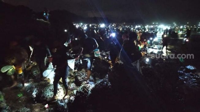 Sekali Setahun, Tradisi Bau Nyale di Desa Kuta Mandalika Dipadati Ribuan Warga dan Wisatawan