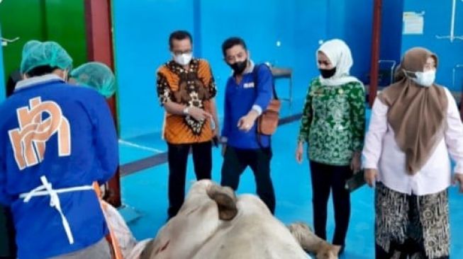 Jelang Bulan Ramadhan, Daging Sapi Berkualitas Berdikari Diminati 