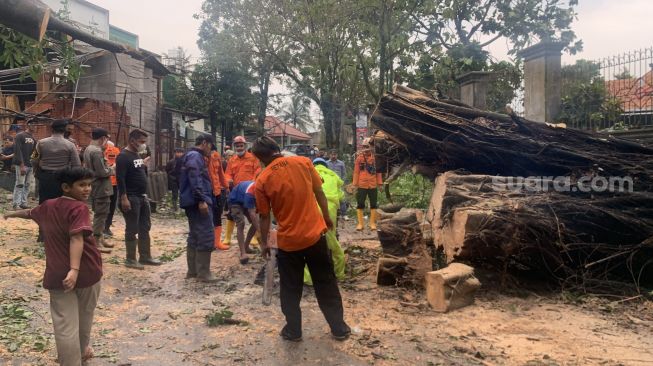 Pohon Tumbang Tutup Tiga Jalan di Kabupaten Cianjur, BPBD: Satu Rumah Rusak