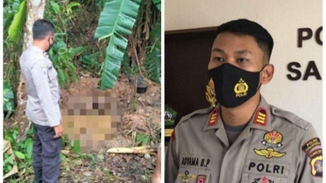 Tragis! Kapolsek Samboja AKP Adyama Baruna Pratama Beberkan Kronologi Pembunuhan AM di Perkebunan Pisang Kukar