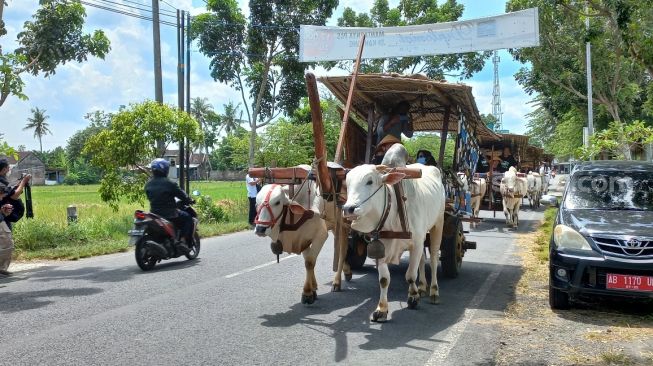 Wisatawan naik gerobak sapi di Jodog, Gilangharjo, Pandak, Bantul, Rabu (23/2/2022). - (SuaraJogja.id/Rahmat Jiwandono)