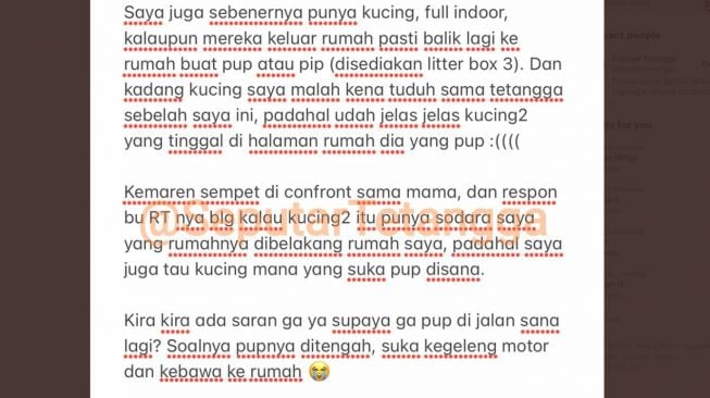 Curhat warganet yang gang dekat rumahnya dipenuhi kotoran kucing (Twitter)