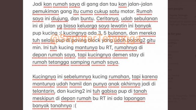 Curhat warganet yang gang dekat rumahnya dipenuhi kotoran kucing (Twitter)