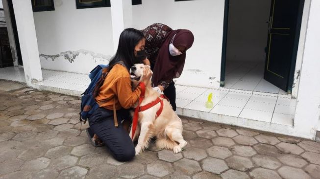 Hari Rabies Sedunia 2022: 26 Provinsi Indonesia Masih Jadi Endemik