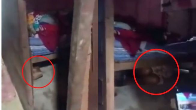 Penagih Hutang Keheranan, Emak-emak dan Keluarganya Nekat Sembunyi di Kolong Tempat Tidur, Publik Prihatin