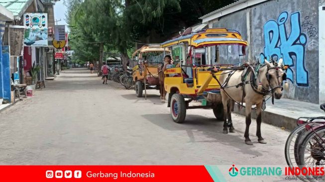 Pemda KLU Tarik Rp 34 Miliar Pajak Dari GTI