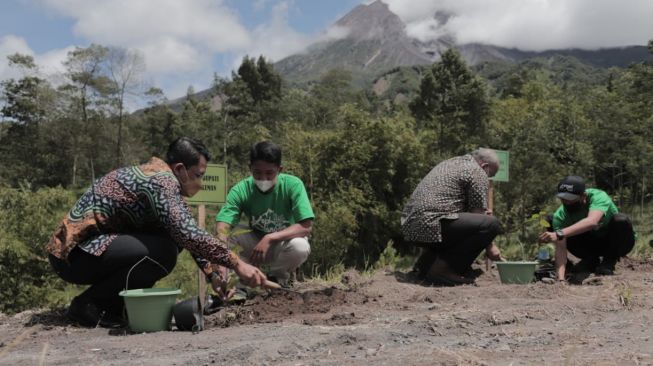 Tingkatkan Kualitas Produksi, Pemerintah Gelar Gerakan Tanam Kopi di Lereng Merapi