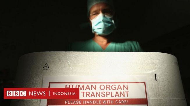 Arnold Putra: Desainer Kontroversial yang Diduga Pesan Organ Manusia