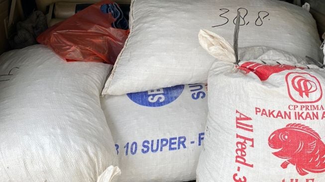 Polisi: Diduga Penjual 150 Kg Sisik di Sumut Bunuh 600 Trenggiling