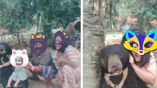 Viral Foto-foto Beruang Madu di Riau, Ternyata Sudah Mati dan Diambil Organnya