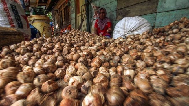 Harga Pinang Kering Riau Pekan Ini Meroket, Tembus Rp4.663 per Kg