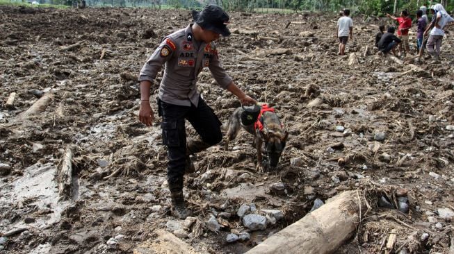 Petugas gabungan dari Basarnas Padang, TNI, Polri, BPBD dan dibantu masyarakat melakukan pencarian korban longsor di jorong Guguk Nagari Malampah, Kecamatan Tigo Nagari, Kabupaten Pasaman, Sumatera Barat, Minggu (27/2/2022). [ANTARA FOTO/Muhammad Arif Pribadi/Lmo/YU]