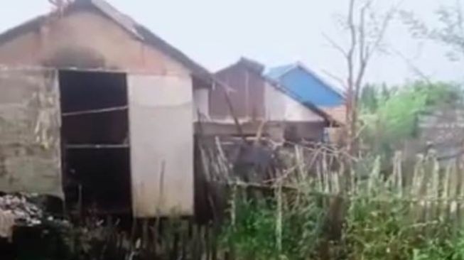 Angin Puting Belung Terjang Pemukiman Warga di Empat Desa Kawasan Kabupaten Banjar, Puluhan Rumah Rusak