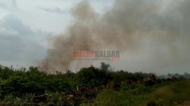 Kebakaran Hutan dan Lahan di Kubu Raya, Kapolres: Jika Ada Unsur Kesengajaan, Akan Kami Tindak Secara Hukum!