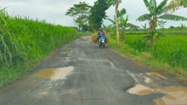 Jalan Provinsi Jabar di Cianjur Rusak, PKS Minta Ridwan Kamil Segera Perbaiki