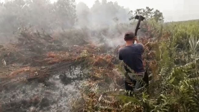 Karhutla Kembali Melanda, Warga Ikut Padamkan Api, Anggap Sudah Jadi Rutinitas Tahunan