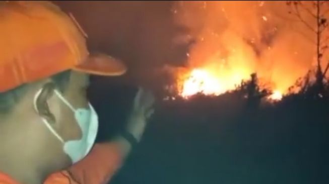 Kebakaran Hutan dan Lahan Masih Terus Terjadi, Kali Ini di Jalan Aloevera, Api Begerak Mendekat ke Pemukiman Warga