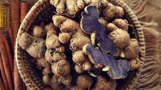 5 Manfaat Kunyit Hitam bagi Kesehatan, Disebut Bisa Meredakan Nyeri