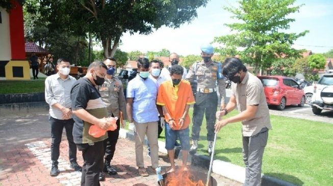 Polisi Musnahkan 156,85 Gram Ganja Hasil Tangkapan di Perumahan Villa Mas Batam