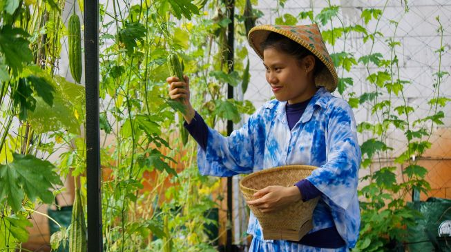 Maisa (27), Pemudi berkebutuhan khusus penyandang Autisme mengelola kebun hidroponik di Kawasan Ciganjur, Jakarta Selatan, Rabu (2/3/2022).[Suara.com/Septian]