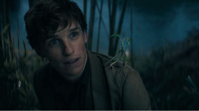 Peran Newt dan Hewan Magisnya di Fantastic Beasts: The Secrets of Dumbledore