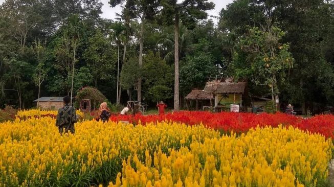 Taman Bunga yang indah menawan di Desa Wisata Okura, Pekanbaru.(Panji Ahmad Syuhada)
