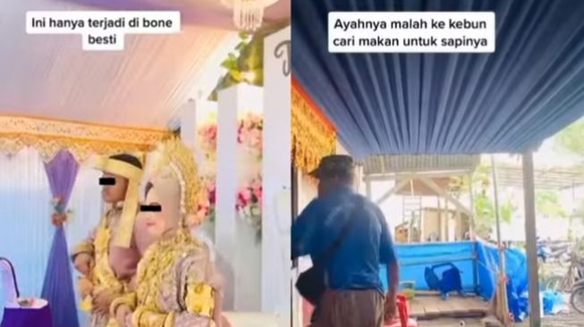 Memang Beda! Viral Ayah Santai Tinggalkan Acara Pernikahan Putrinya Demi Cari Pakan Ternak