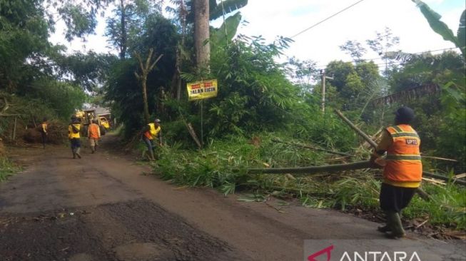 Jalur Puncak-Cianjur Rawan Longsor dan Pohon Tumbang, BPDB Imbau Pengguna Jalan Waspada