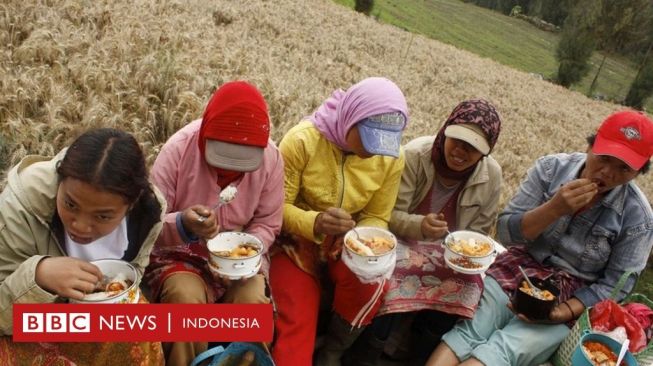 Rusia-Ukraina: Dampak Bagi RI, Harga Mi Instan hingga Pupuk Bisa Naik