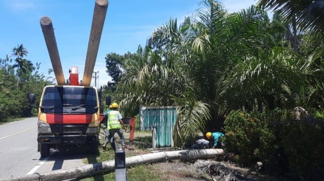 7 Kecamatan di Aceh Jaya Alami Pemadaman Gegara Mobil Hantam Tiang Listrik