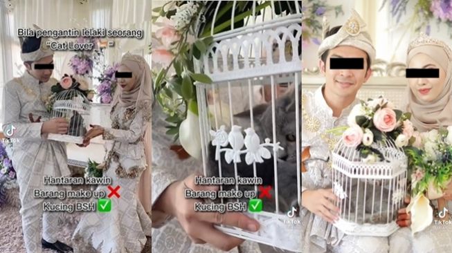 Pasangannya Cat Lover, Pengantin Ini Beri Kucing British Shorthair untuk  Seserahan Pernikahan