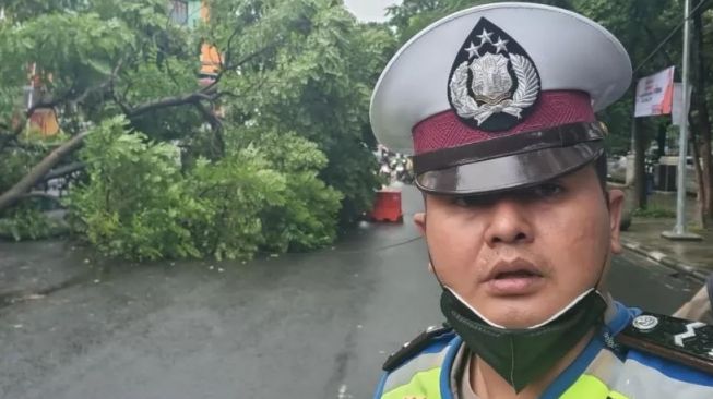 Ada Pohon Tumbang, Hindari Jalan Tamansari Depan Baltos