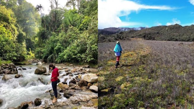 Mengenal Situs Warisan Dunia di Indonesia, Taman Nasional Gunung Leuser yang Menganggumkan