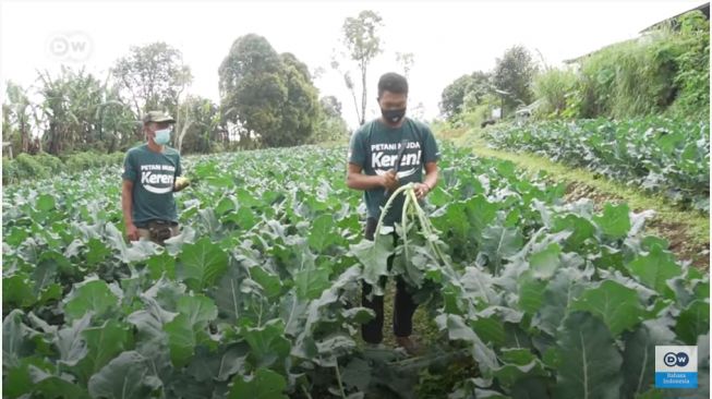 Canggih! Petani Muda Bali Manfaatkan Aplikasi dan Teknologi Pertanian, Lebih Menguntungkan