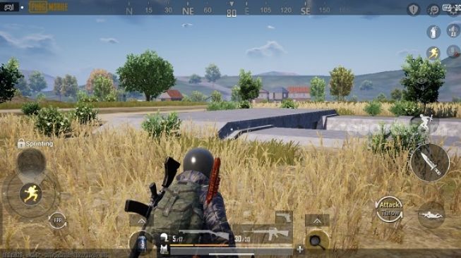 PUBG Mobile. [Suara.com/Dicky Prasetya]