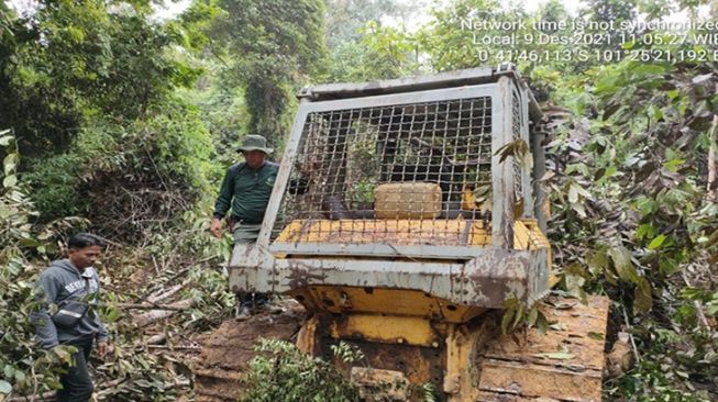 Kasus Perambahan Hutan Lindung di Kampar yang Diduga Melibatkan Polisi Masih Mandek