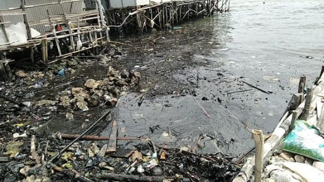 WALHI Lampung Desak Pemerintah Segera Atasi Pencemaran Laut di Pesisir Panj