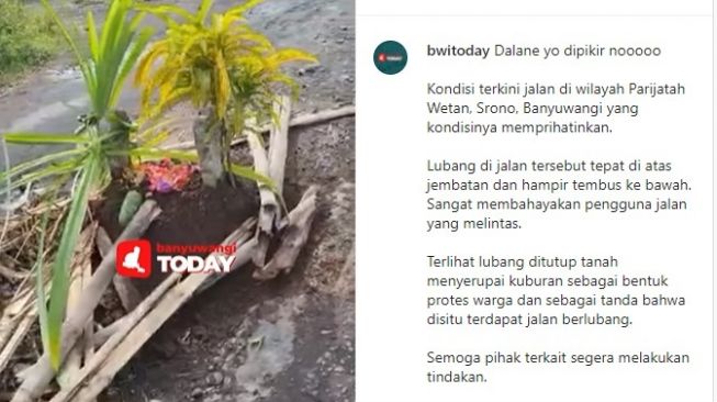 Protes Jalan Berlubang, Jalan di Banyuwangi Ini Ditutup Tanah Mirip Kuburan