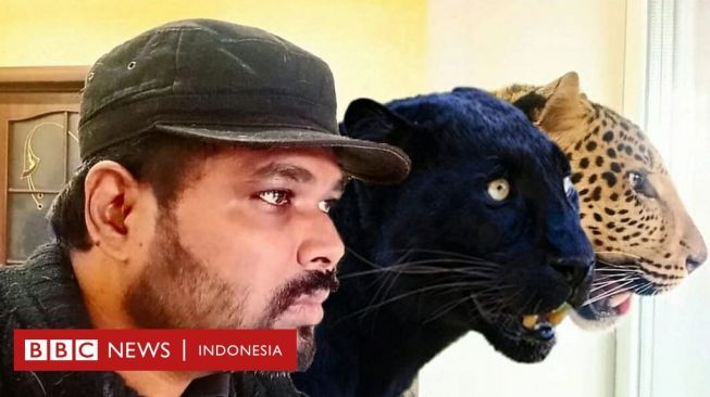 Dokter India Bertahan Hidup di Bungker Bersama Macan Kumbang dan Jaguar