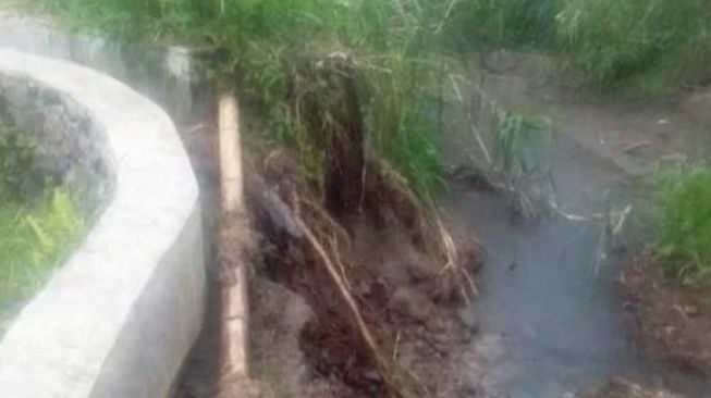 Gempa Pasaman Barat Rusak Irigasi, Seribu Hektare Lebih Sawah Petani Terancam Kekeringan